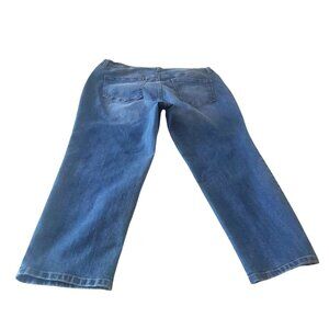 Gloria Vanderbilt Amanda Womens Classic Straight-Leg Jeans Size 16WS Medium Wash